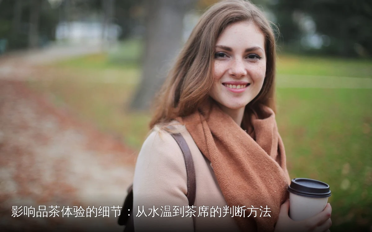 影响品茶体验的细节：从水温到茶席的判断方法